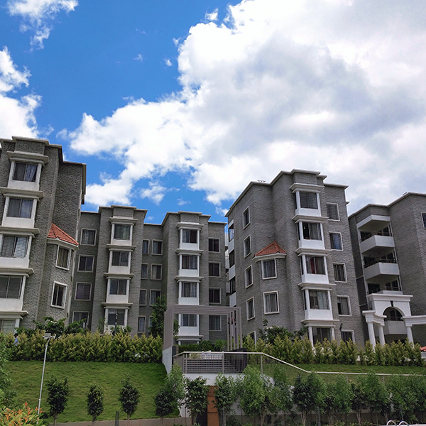 2 bhk flat for rent near meenakshi mall